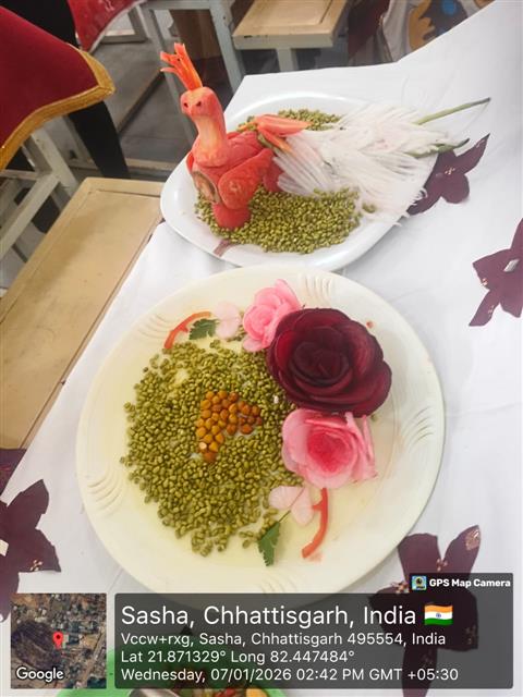 Salad decoration -Chaitanya Science and Arts College